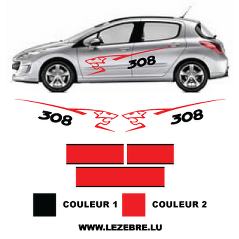 Kit voiture 308