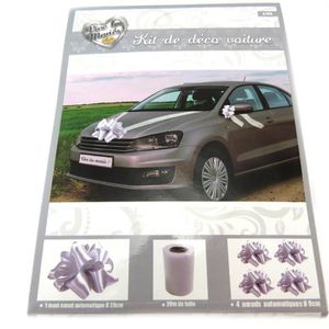 Kit voiture santex